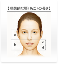下顎（顎 短縮：水平骨切りなど）