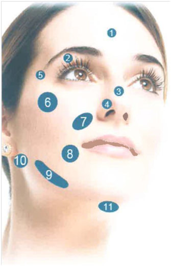 治療部位について